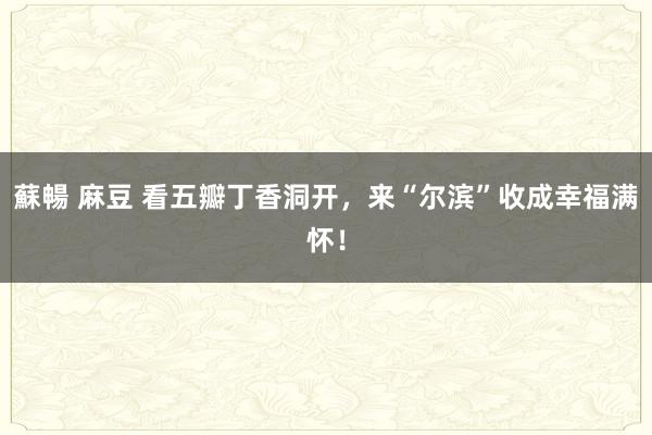 蘇暢 麻豆 看五瓣丁香洞开,来“尔滨”收成幸福满怀!