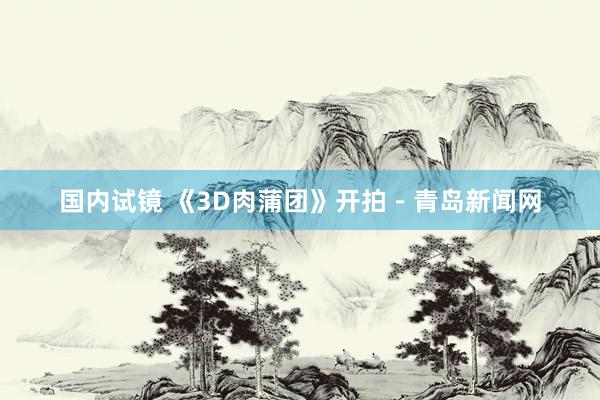 国内试镜 《3D肉蒲团》开拍－青岛新闻网