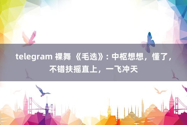 telegram 裸舞 《毛选》: 中枢想想，懂了，不错扶摇直上，一飞冲天