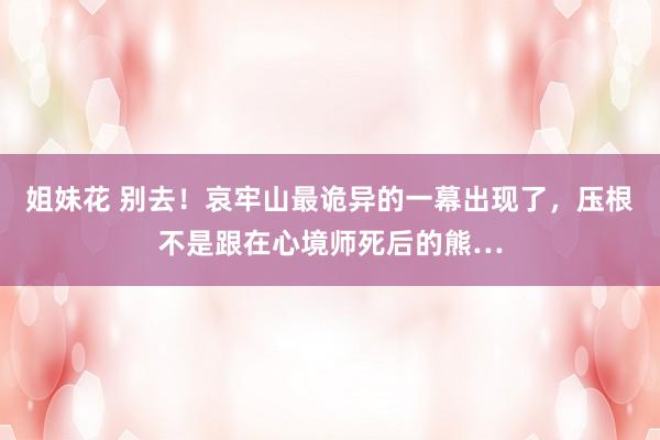 姐妹花 别去！哀牢山最诡异的一幕出现了，压根不是跟在心境师死后的熊…