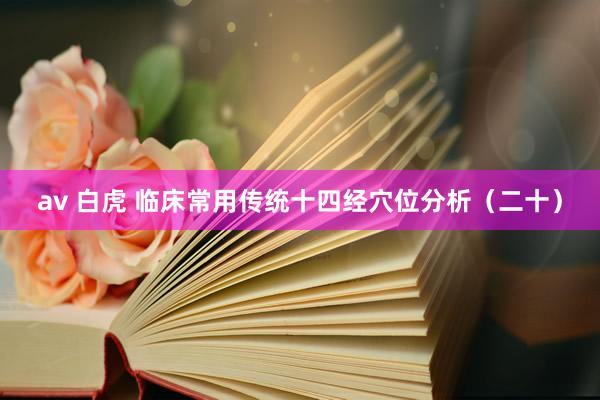 av 白虎 临床常用传统十四经穴位分析（二十）